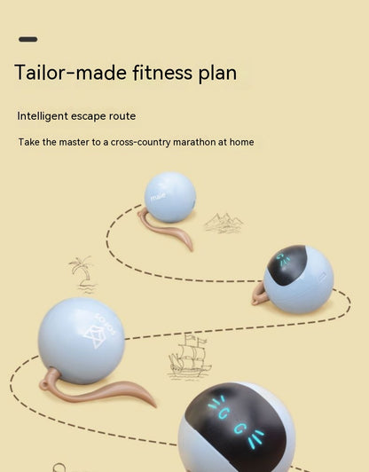 Pelota Juguete Eléctrica Para Gatos
