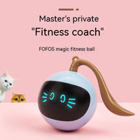 Pelota Juguete Eléctrica Para Gatos