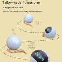 Pelota Juguete Eléctrica Para Gatos