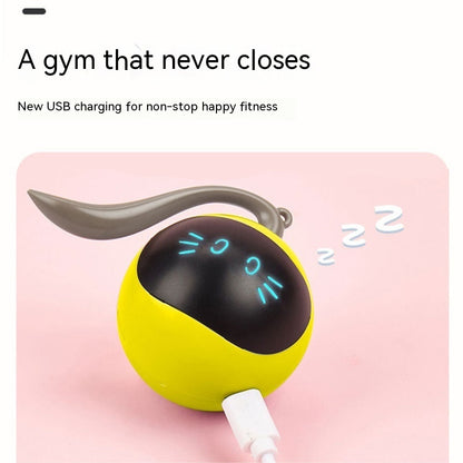 Pelota Juguete Eléctrica Para Gatos